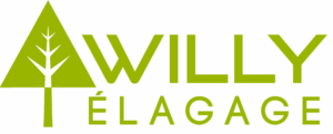 Willy logo
